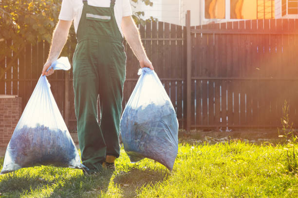 Best Office Junk Removal  in Labelle, FL